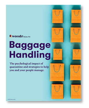 W6016_Baggage Handling_White Paper_FIN